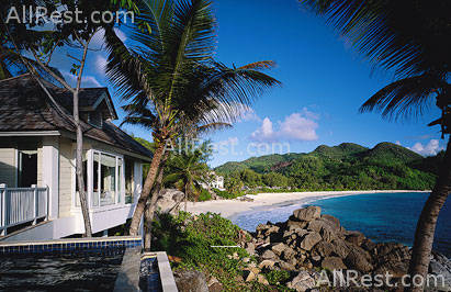 Banyan Tree Deluxe 23